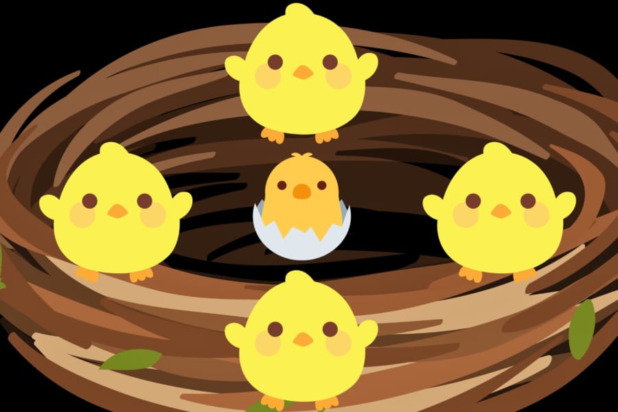 子供たちのエサとして「追加のヒナ」を産む鳥がいる！